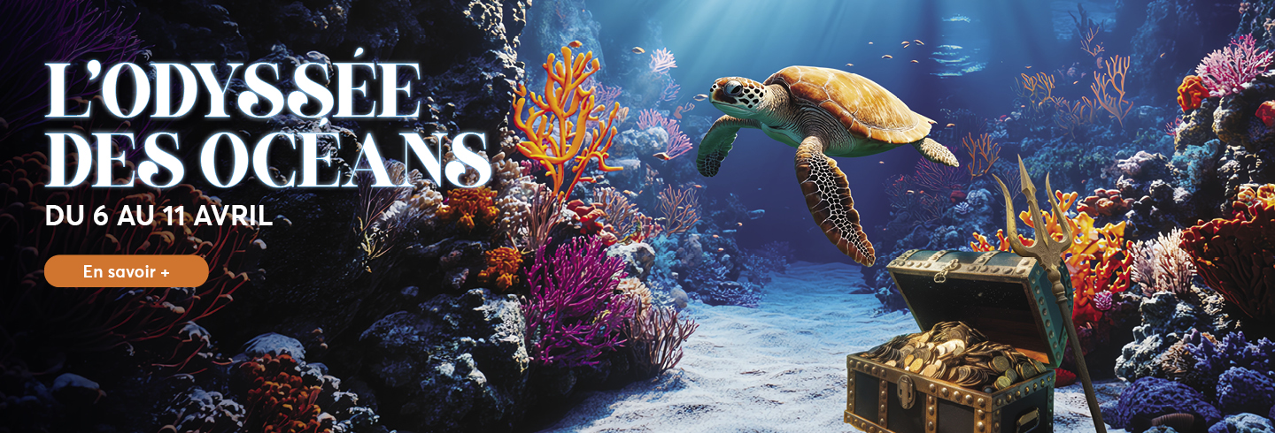 animation ocean galerie commercial villars